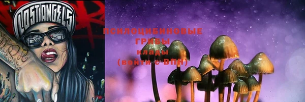 ешки Магас