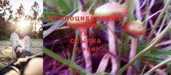 хмурый Медвежьегорск