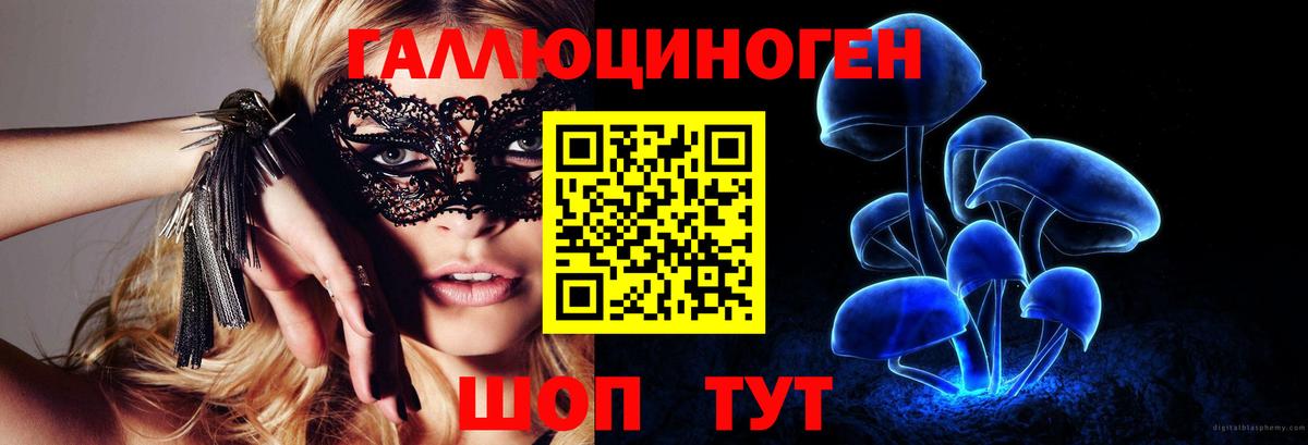 Псилоцибиновые грибы мухоморы  купить  сайты  Сухой Лог  Галлюциногенные грибы Magic Shrooms  Вход с VPN 